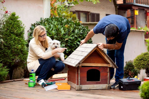 Couple is building the dog house. 