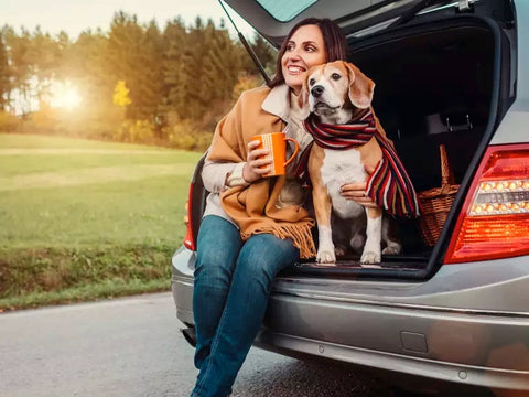 Dog with its owner sitting in the car's trunk enjoying the view.