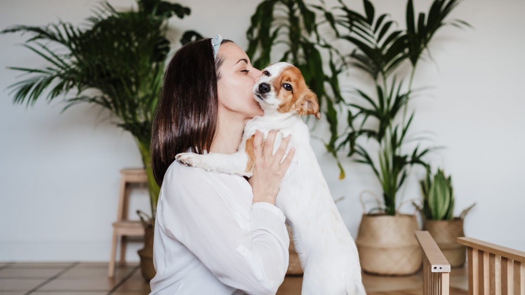 Woman holding and kissing dog