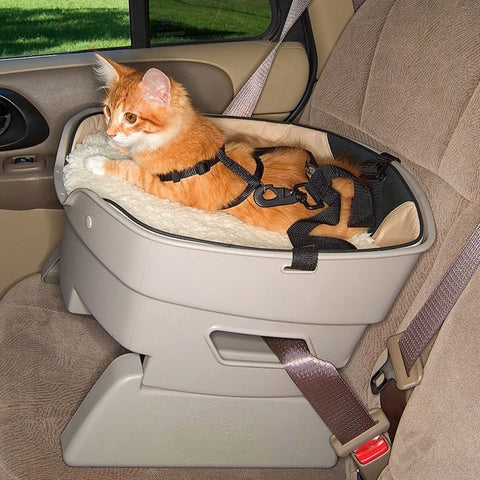 Cat inside the car with its safety seat.