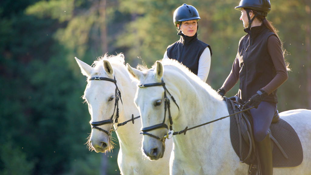 Women riding horses
