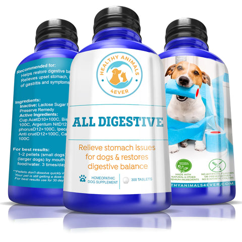 All Digestive - Dogs.
