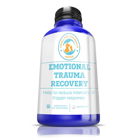 Emotional Trauma Recovery - Cats