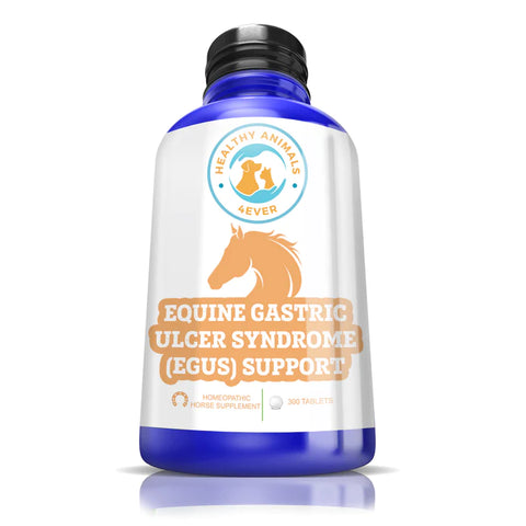 HORSE EQUINE GASTRIC ULCER SYNDROME SUPPORT