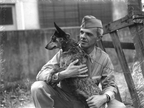 A soldier with his dog. 