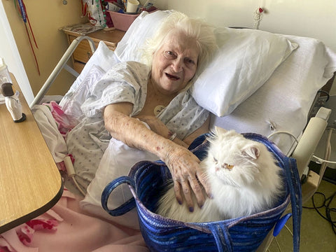 Old lady in a hospital bed with a therapy cat. 