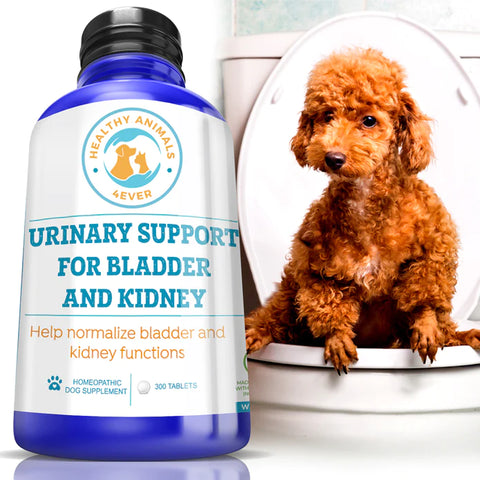 Urinary Support for Bladder and Kidney Formula for Dogs.