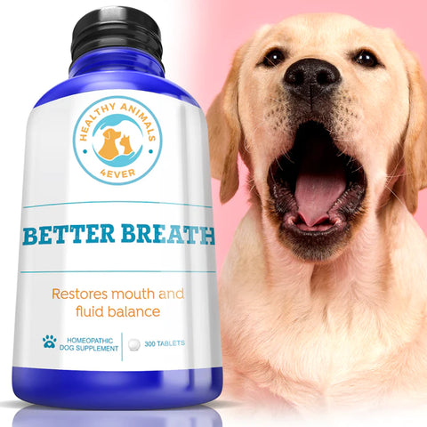 Better Breath - Dogs.