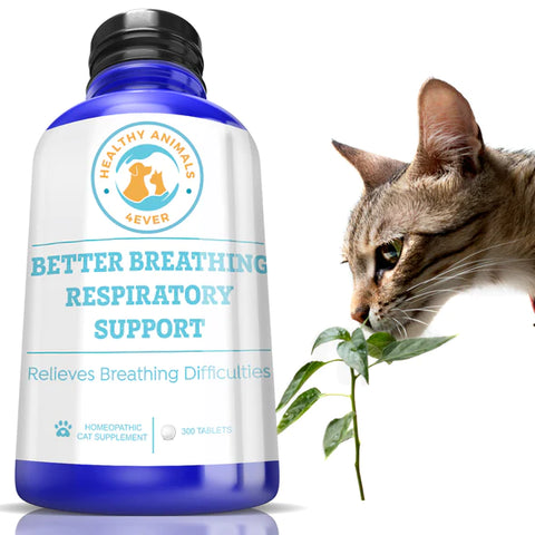 Better Breathing Respiratory Support Formula for Cats.