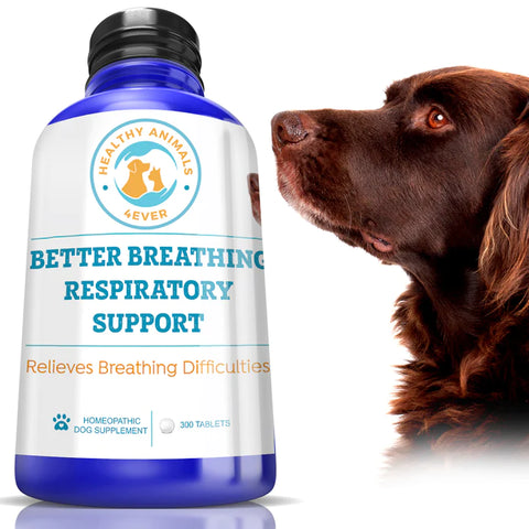 Better Breathing Respiratory Support Formula for Dogs