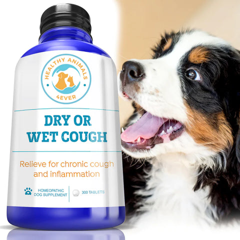 Dry or Wet Cough Formula for Dogs