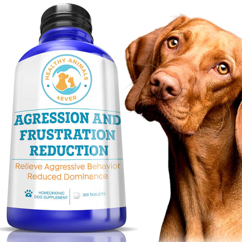 Agression and Frustration Reduction - Dogs