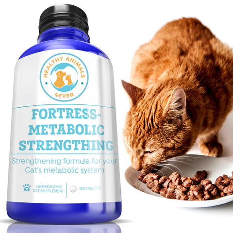 Fortress-metabolic Strengthening Formula for Cats.