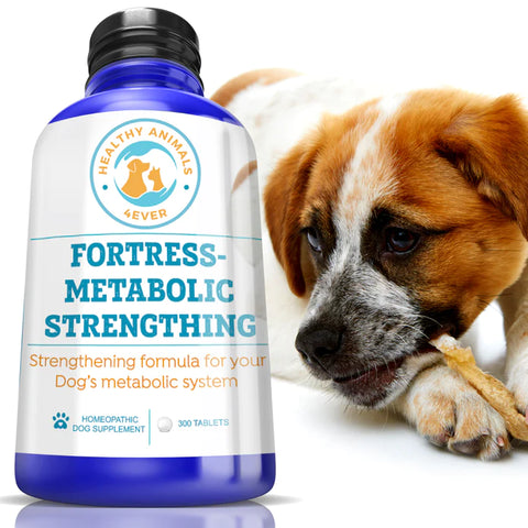Fortress-metabolic Strengthening Formula for Dogs.