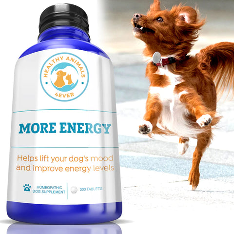 More Energy - Dogs