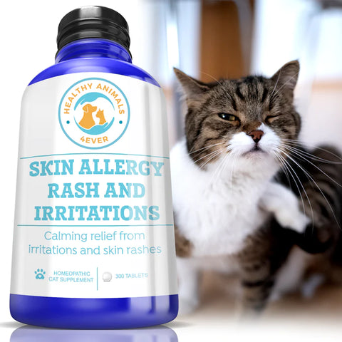Skin Allergy Rash and Irritations - Cats.