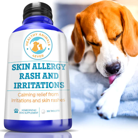 Skin Allergy Rash and Irritations - Dogs.