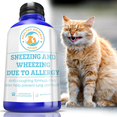 Sneezing and Wheezing Due to Allergy Formula for Cats.