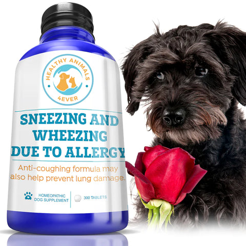 Sneezing and Wheezing Due to Allergy Formula for Dogs