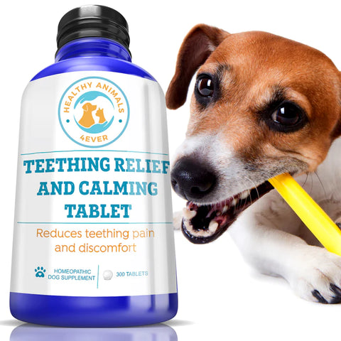 Teething Relief & Calming Formula for Dogs