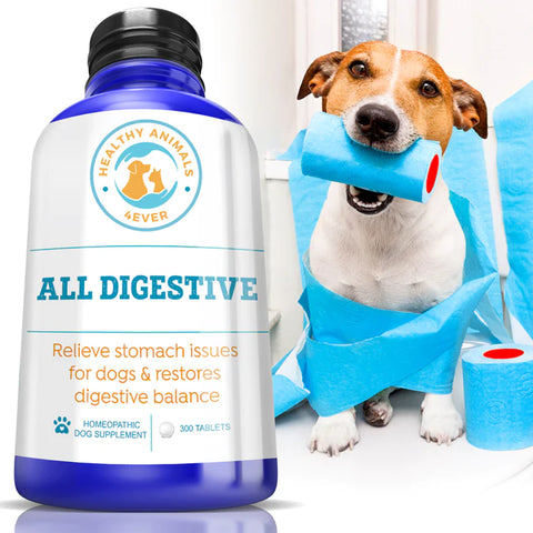 All Digestive - Dogs.