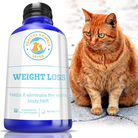 Weight Loss Formula for Cats