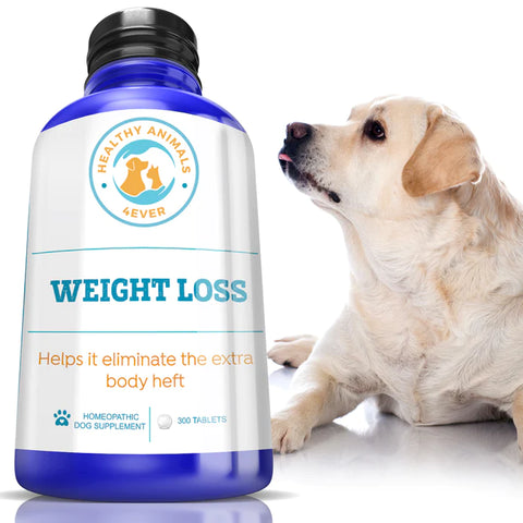 Weight Loss Formula for Dogs