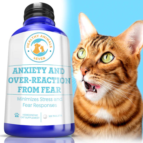 Anxiety and Over-Reaction from Fear Formula for Cats.