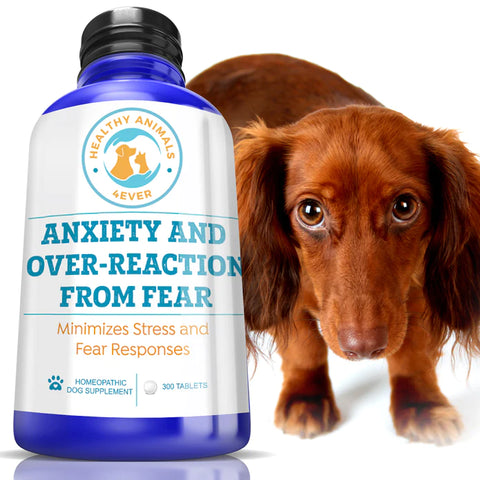 Anxiety and Over-Reaction from Fear Formula for Dogs