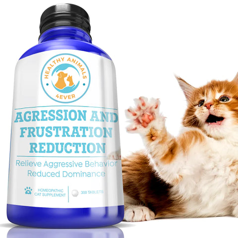 Agression and Frustration Reduction - Cats