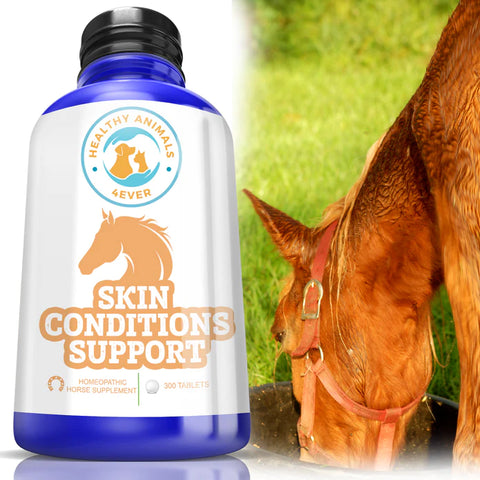 HORSE SKIN CONDITIONS SUPPORT