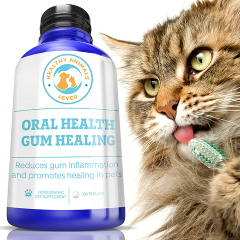 Oral Health Gum Healing Formula for Cats.