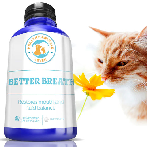 Better Breath - Cats