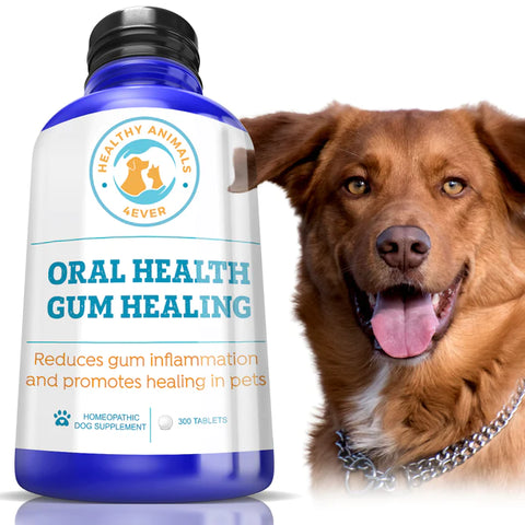 Oral Health Gum Healing Formula for Dogs