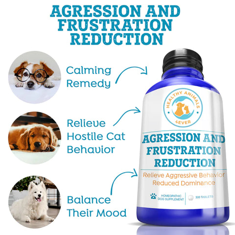 Agression and Frustration Reduction - Dogs.