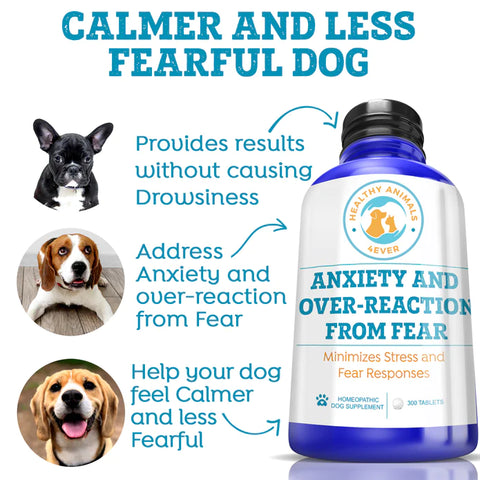 Anxiety and Over-Reaction from Fear Formula for Dogs