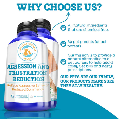 Agression and Frustration Reduction - Dogs
