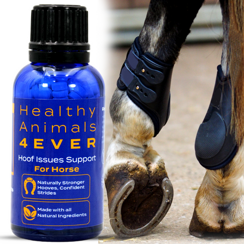 Natural remedy for hoof issues support