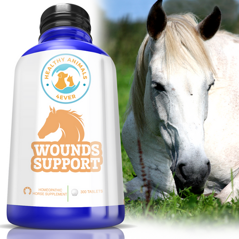 Wounds support for horses