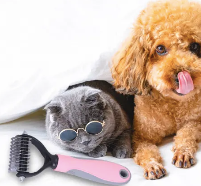 Cat and dog prepared for grooming.