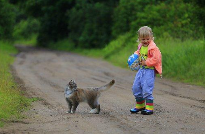 Cat and a kid outside. 