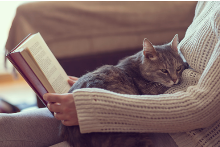 The cat is sleeping with his owner while she's reading a book. 