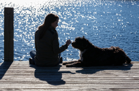 A Portuguese Water Dog sitting with its owner on a deck facing the sea/lake.