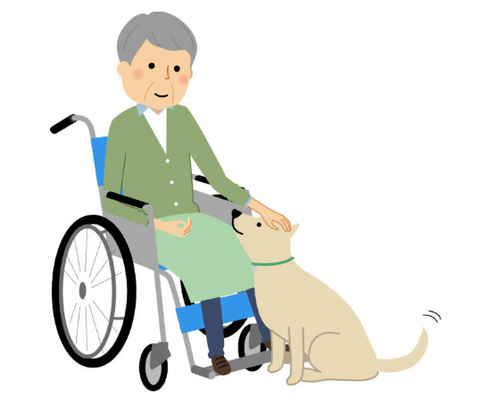 Illustration of a lady in a wheelchair, petting a dog.