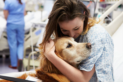 A woman in a hospital bed hugging a therapy dog.