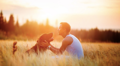 A man with his dog at the park in the summer.