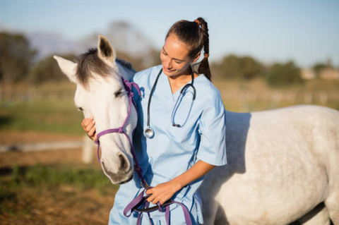 White horse with her vet.