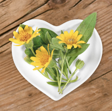 A photo of a calendula flower in a heart pot.