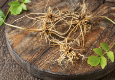 A picture of a valerian root.