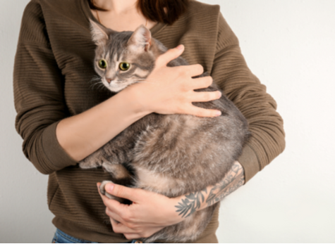 A picture of a woman holding her cat in her arms.